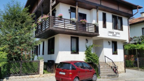 Отель Guest house Elit, Добриниште